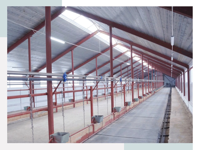 Строительство коровников в Кореновске от 622 руб.