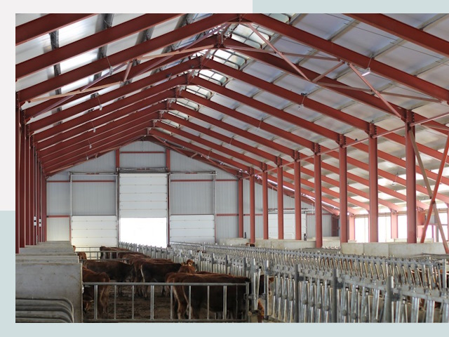 Строительство коровников в Кореновске