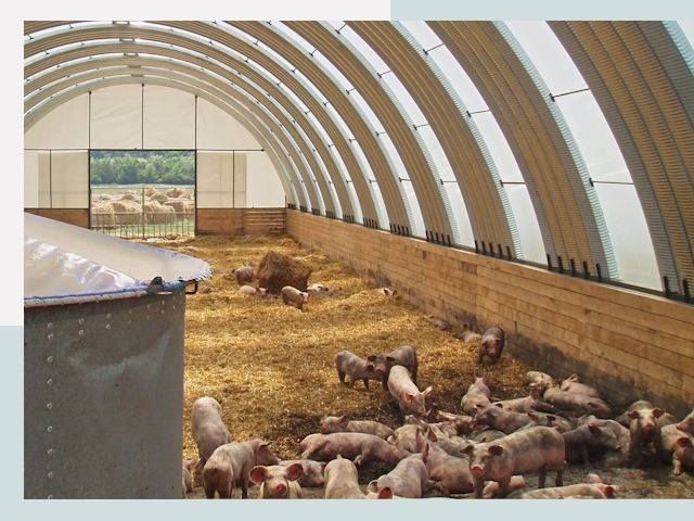 Строительство свинарников в Кореновске